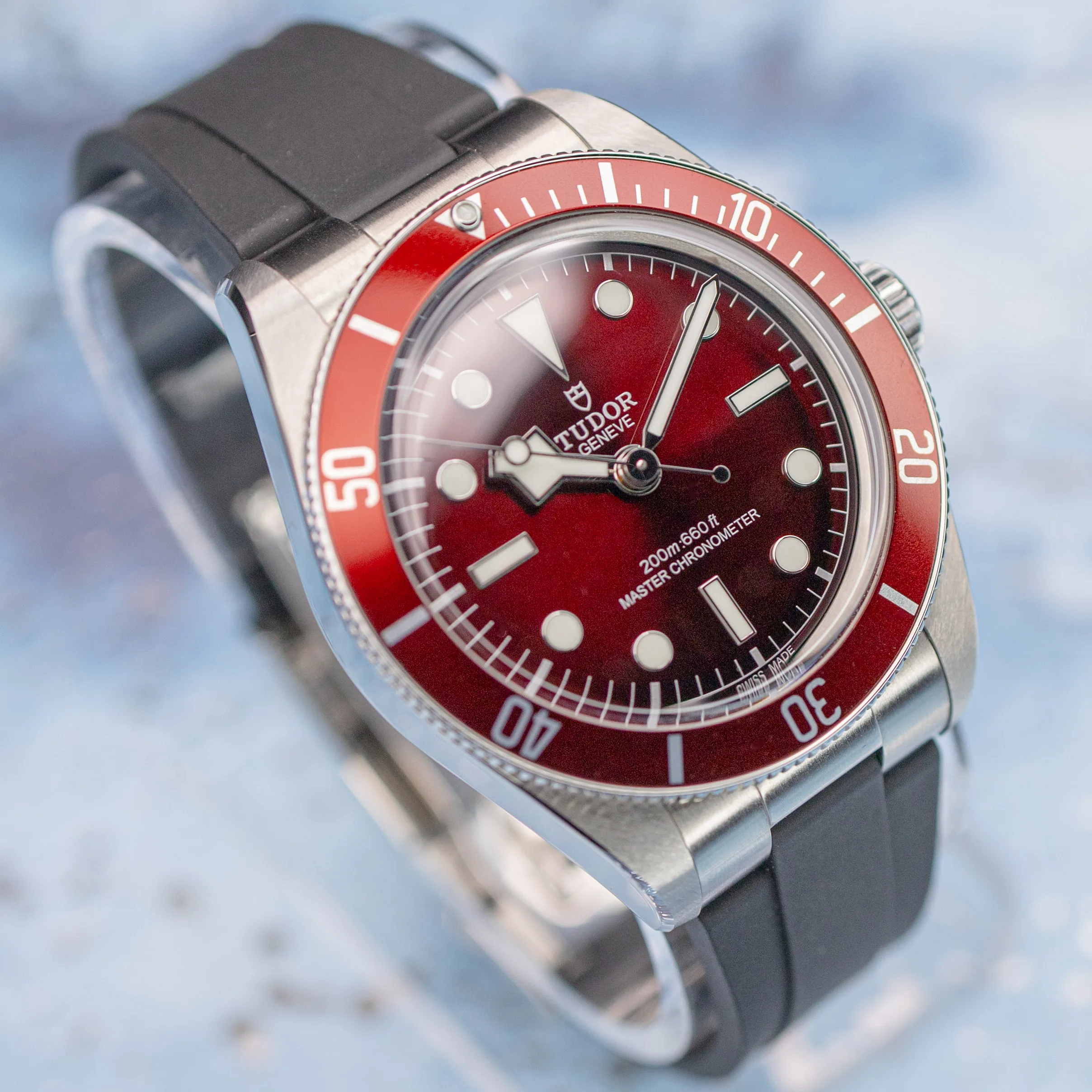 Tudor Black Bay 58 Burgundy case profile showing polished and satin finishing