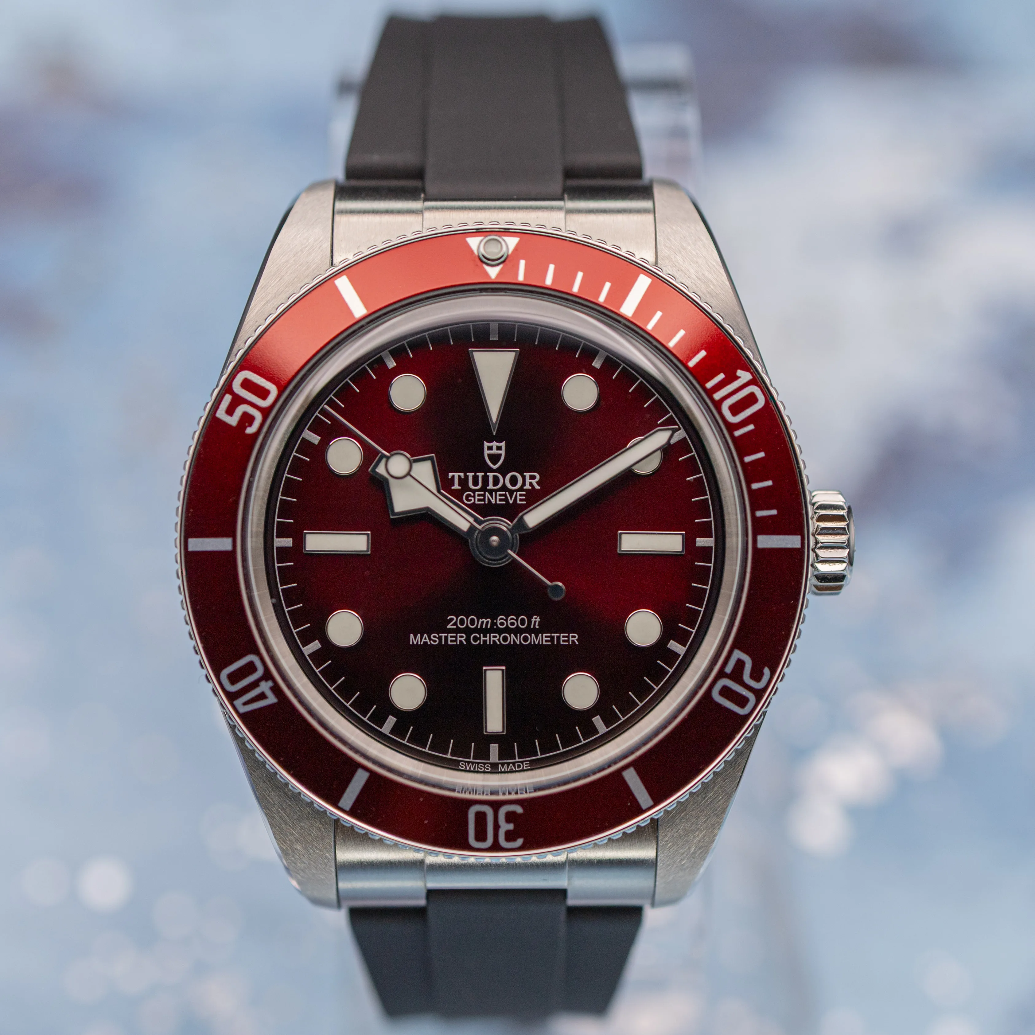 Tudor Black Bay 58 Burgundy lug and case detail
